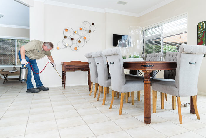 residential pest control service